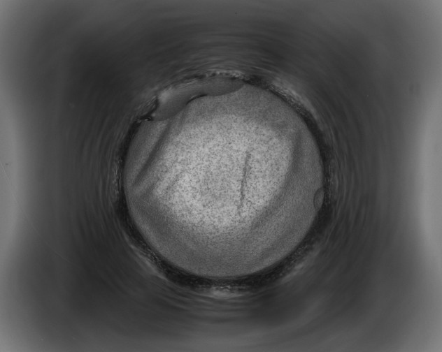 X0000082950641200703020150