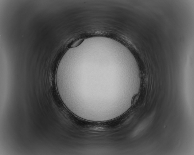 X0000082950643200703020150