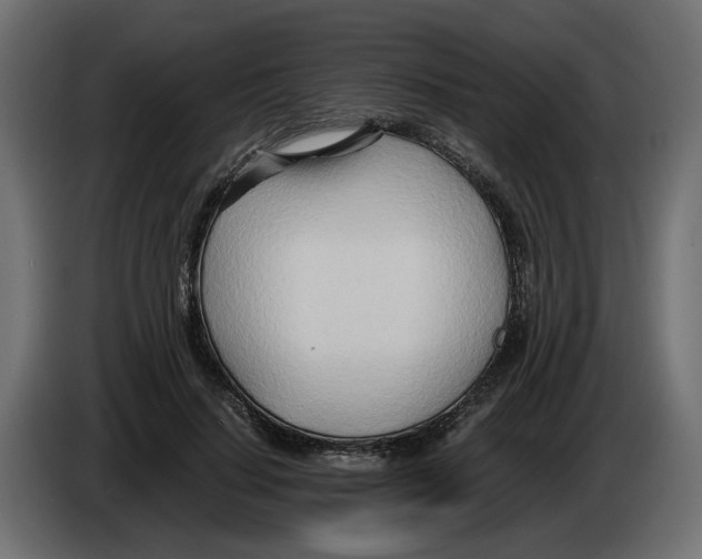 X0000082950644200703020150