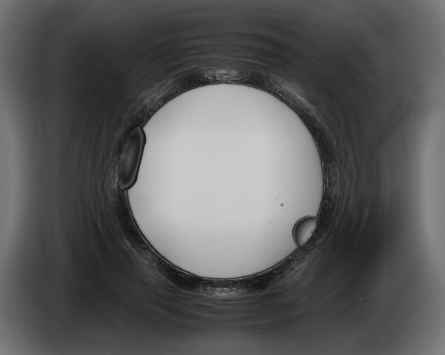 X0000082950645200703020150