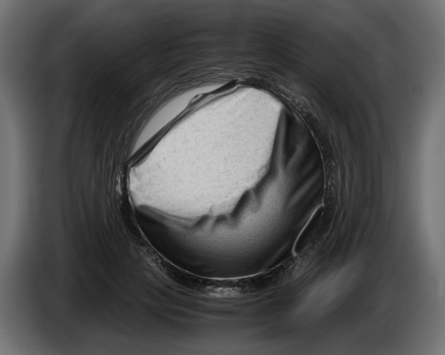 X0000082950649200703020150