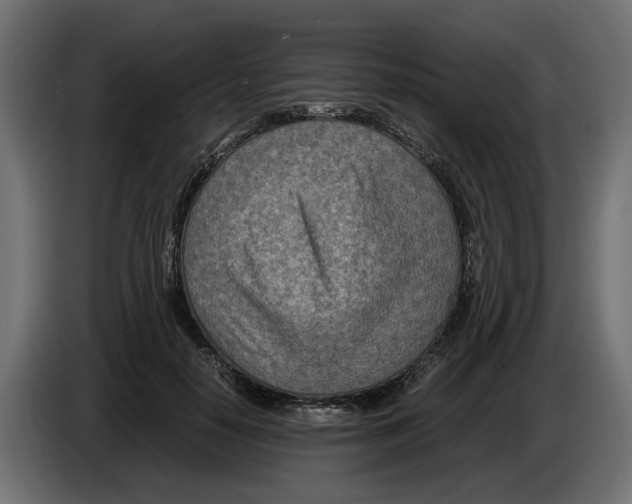 X0000082950650200703020150