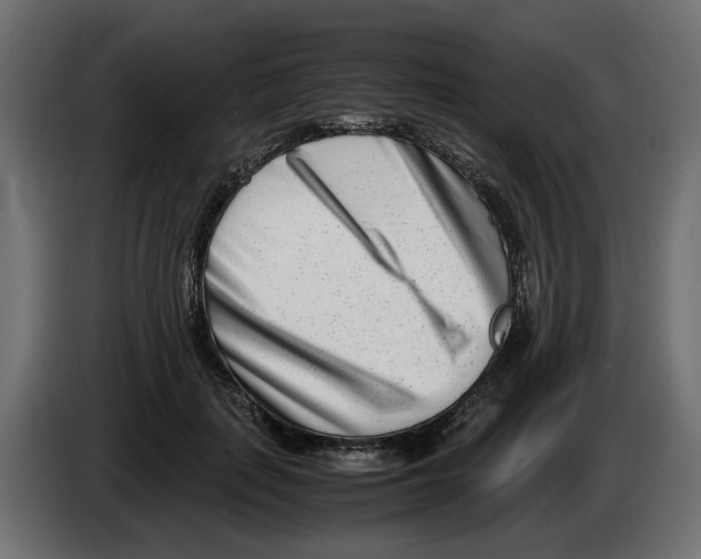 X0000082950651200703020150