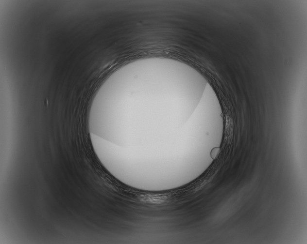 X0000082950652200703020150