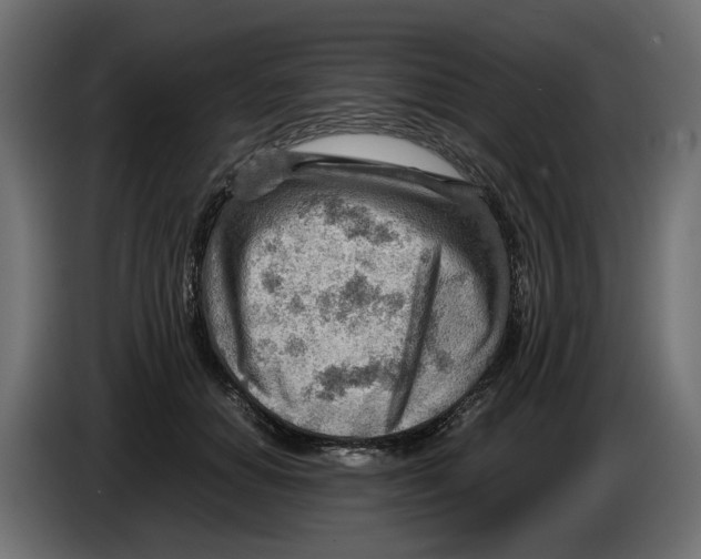 X0000082950654200703020151