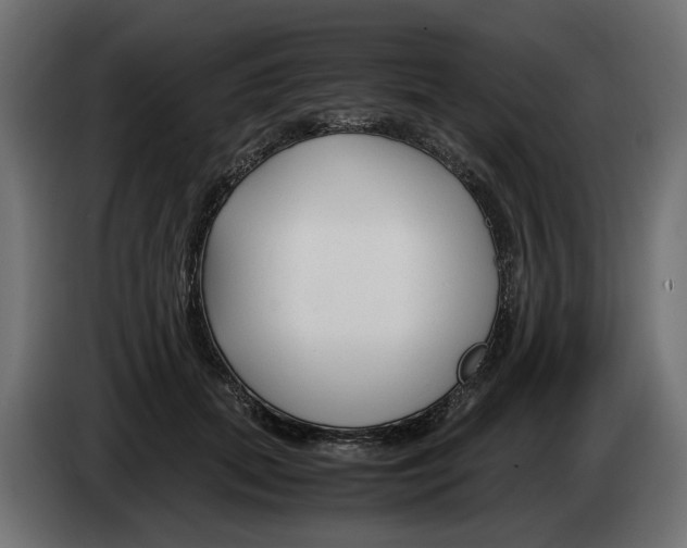 X0000082950655200703020151