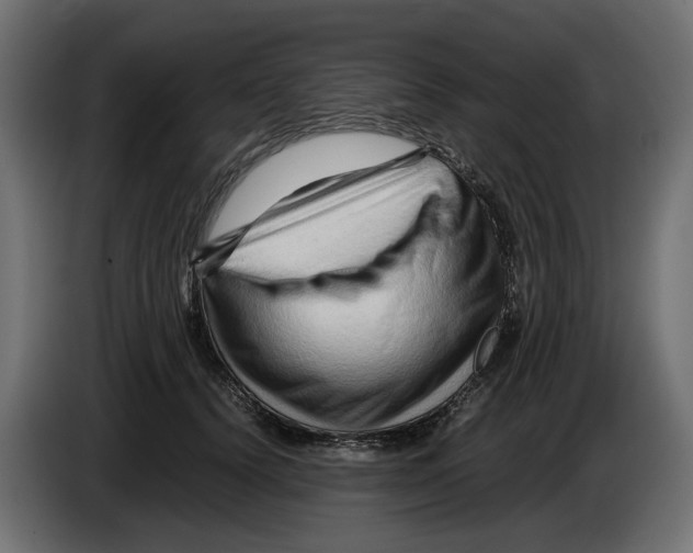 X0000082950656200703020151