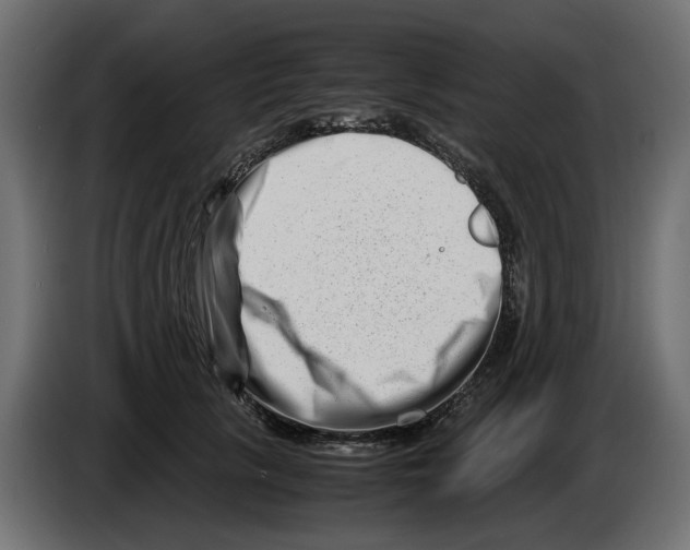 X0000082950657200703020151