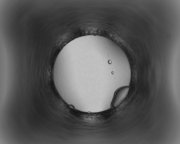 X0000082950661200703020151