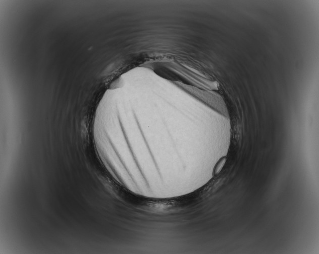 X0000082950662200703020151