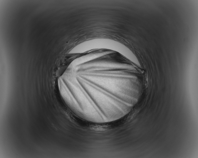 X0000082950664200703020151