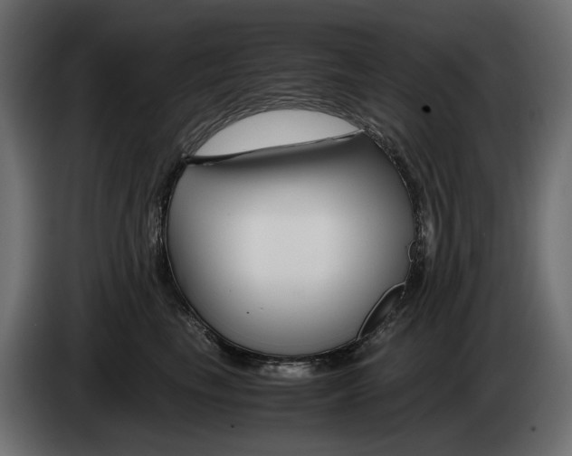 X0000082950665200703020151