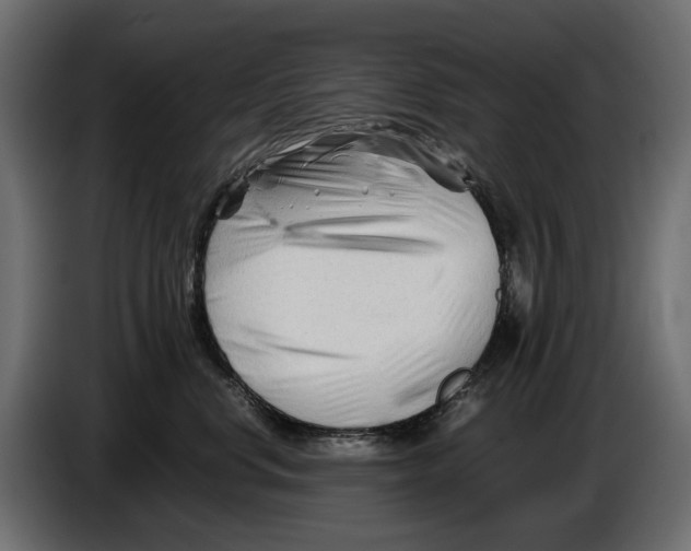 X0000082950668200703020151