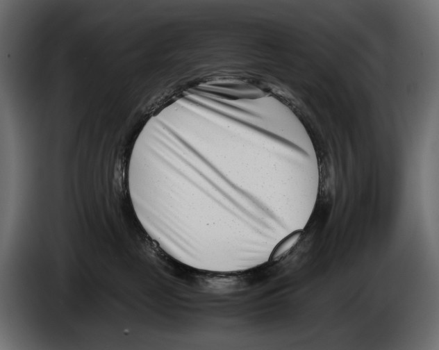 X0000082950669200703020151