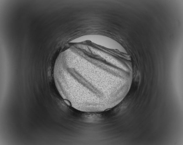 X0000082950670200703020151