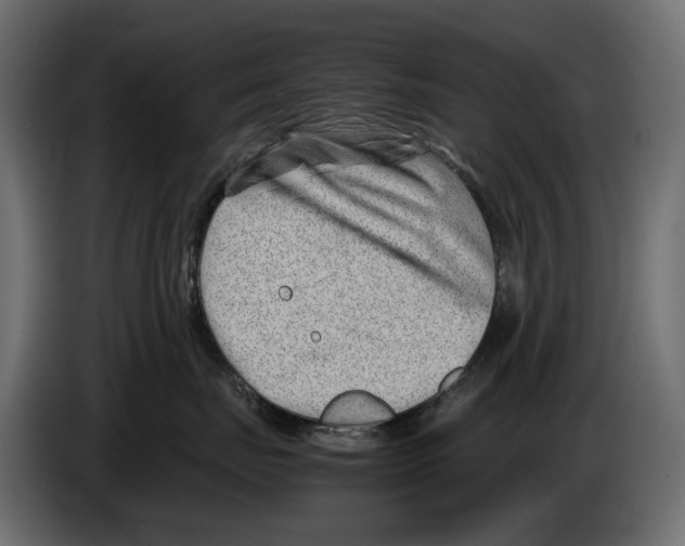 X0000082950671200703020151