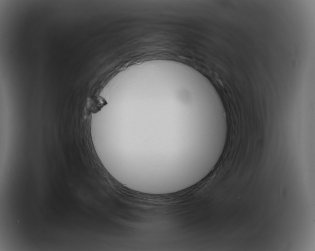 X0000082950672200703020151