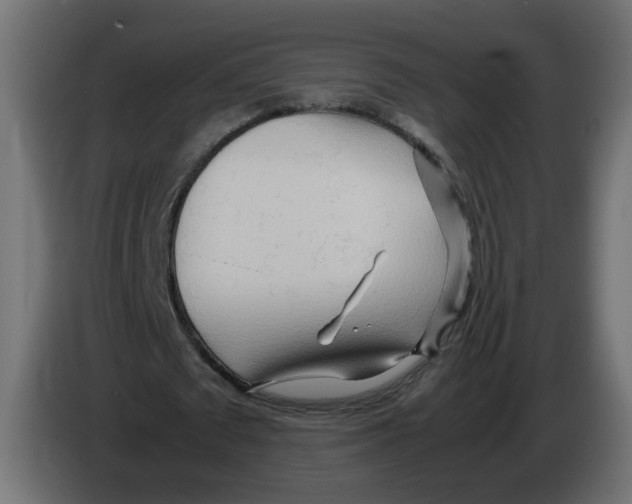 X0000082950673200703020150