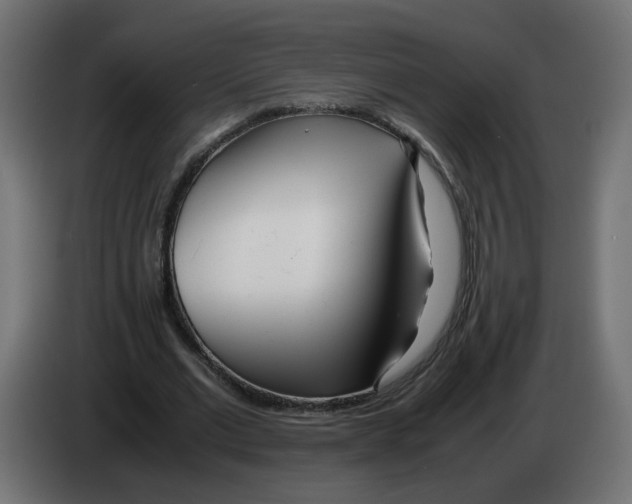 X0000082950677200703020150