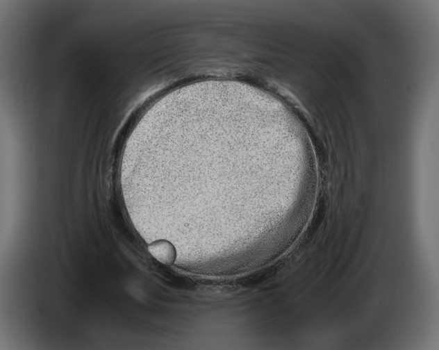 X0000082950679200703020150