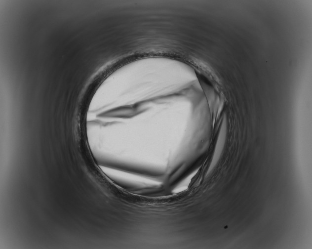 X0000082950680200703020150