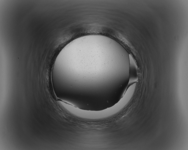 X0000082950681200703020150