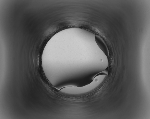 X0000082950685200703020150