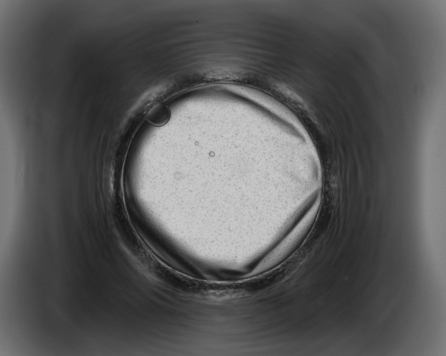 X0000082950686200703020150