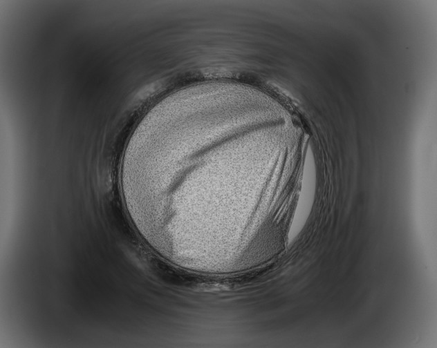 X0000082950687200703020150