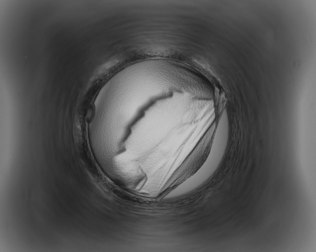 X0000082950688200703020150