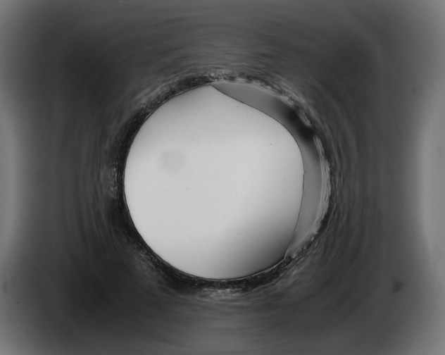 X0000082950689200703020150