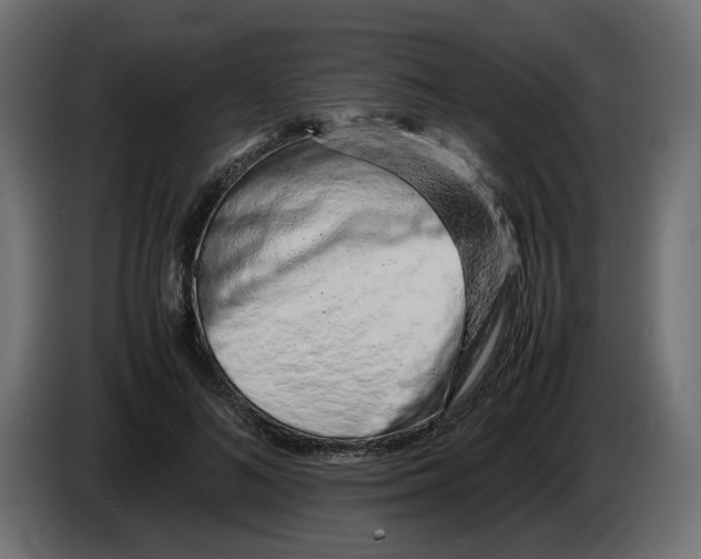 X0000082950692200703020150