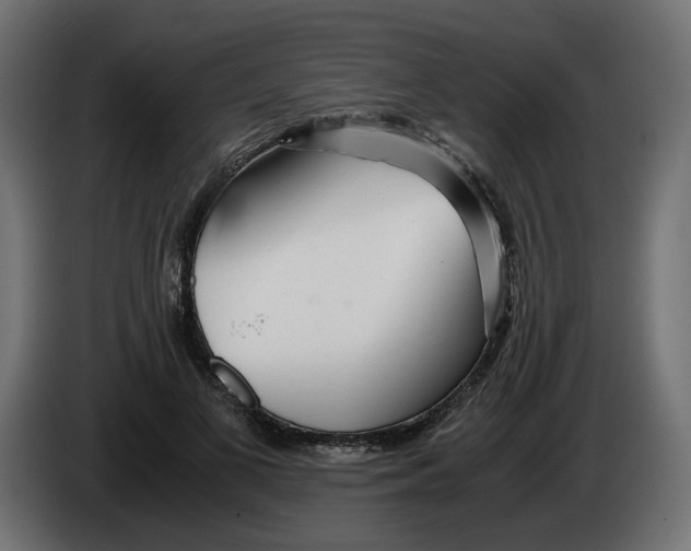 X0000082950693200703020150