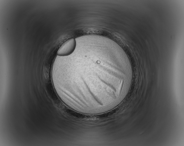 X0000082950695200703020150