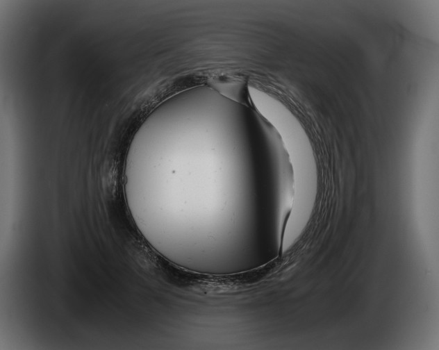 X0000082950697200703020150