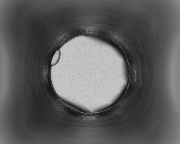 X0000082950698200703020150