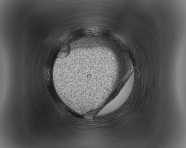 X0000082950699200703020150