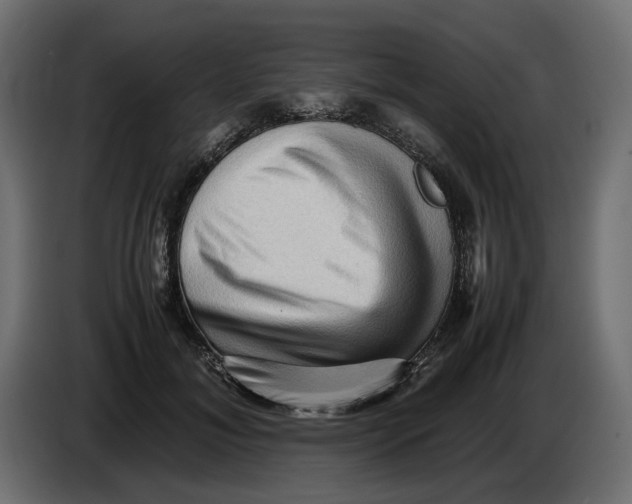 X0000082950700200703020150