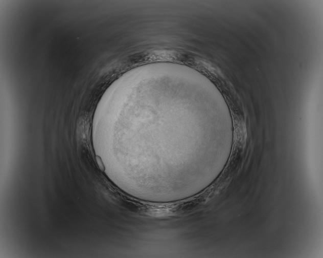 X0000082950701200703020150