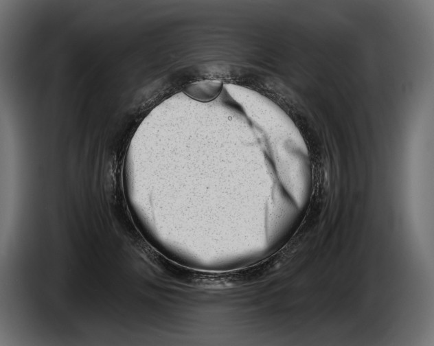 X0000082950702200703020150