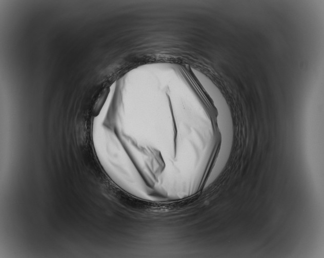 X0000082950704200703020150