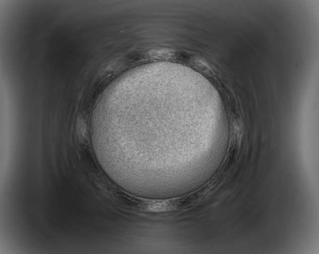 X0000082950705200703020150