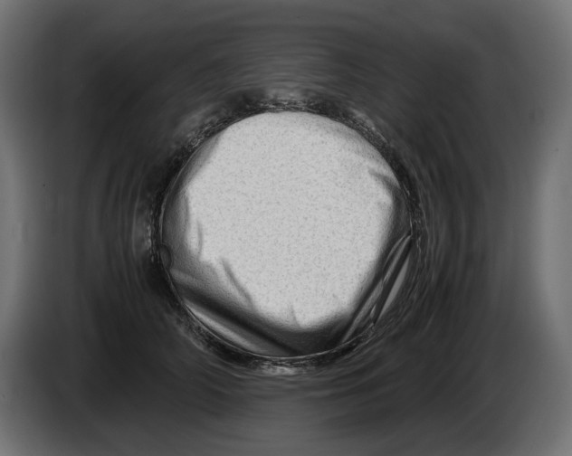 X0000082950706200703020150