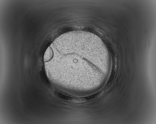 X0000082950707200703020150