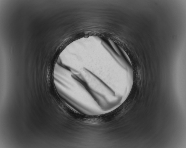 X0000082950708200703020150