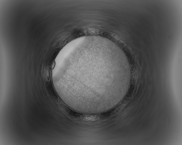 X0000082950709200703020150