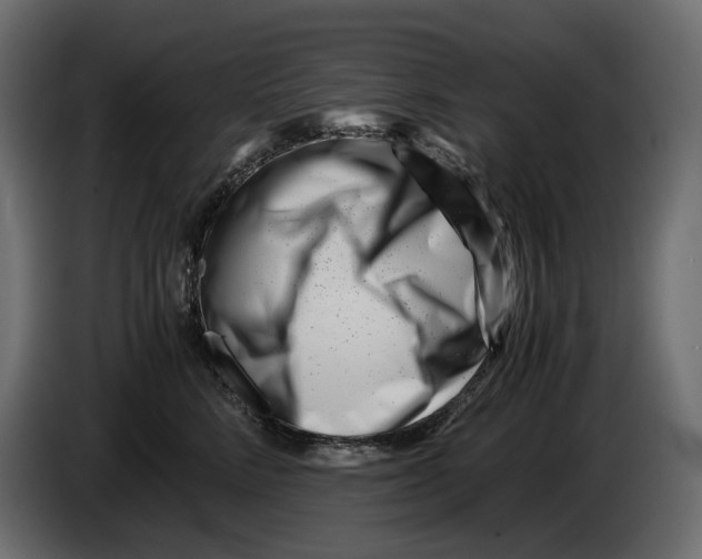 X0000082950712200703020150