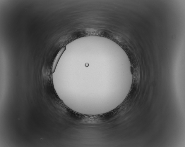 X0000082950713200703020150