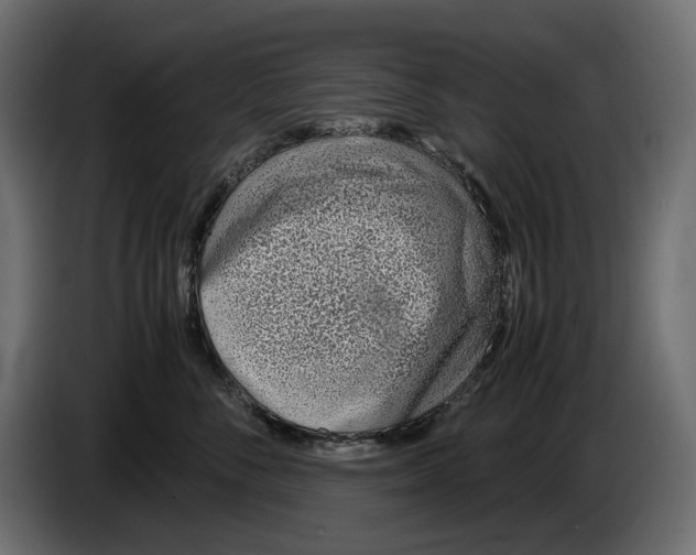 X0000082950716200703020149