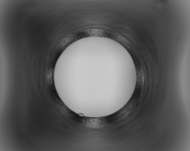 X0000082950717200703020149